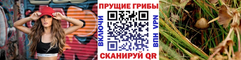 Купить  Суровикино  Галлюциногенные грибы ЛСД 
